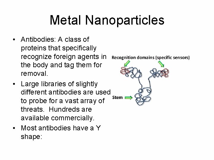 Metal Nanoparticles • Antibodies: A class of proteins that specifically recognize foreign agents in