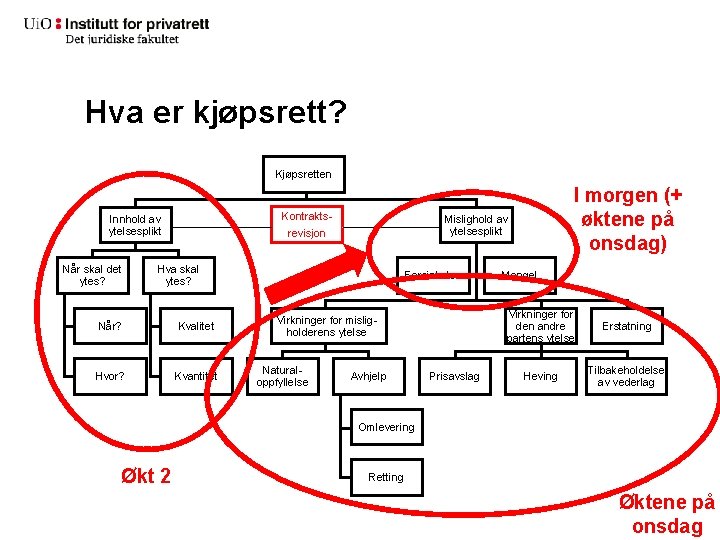 Hva er kjøpsrett? Kjøpsretten Kontrakts- Innhold av ytelsesplikt Når skal det ytes? Mislighold av