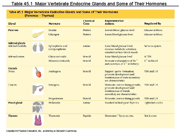 Table 45. 1 Major Vertebrate Endocrine Glands and Some of Their Hormones (Pancreas–Thymus) 