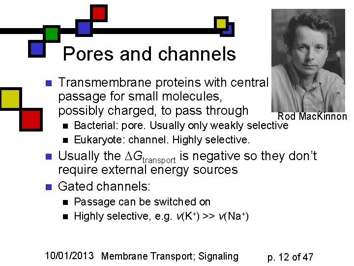 Pores and channels n Transmembrane proteins with central passage for small molecules, possibly charged,