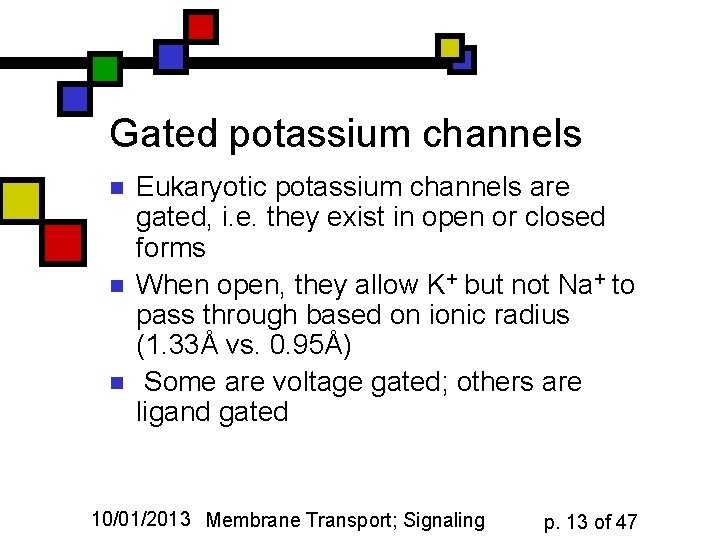 Gated potassium channels n n n Eukaryotic potassium channels are gated, i. e. they