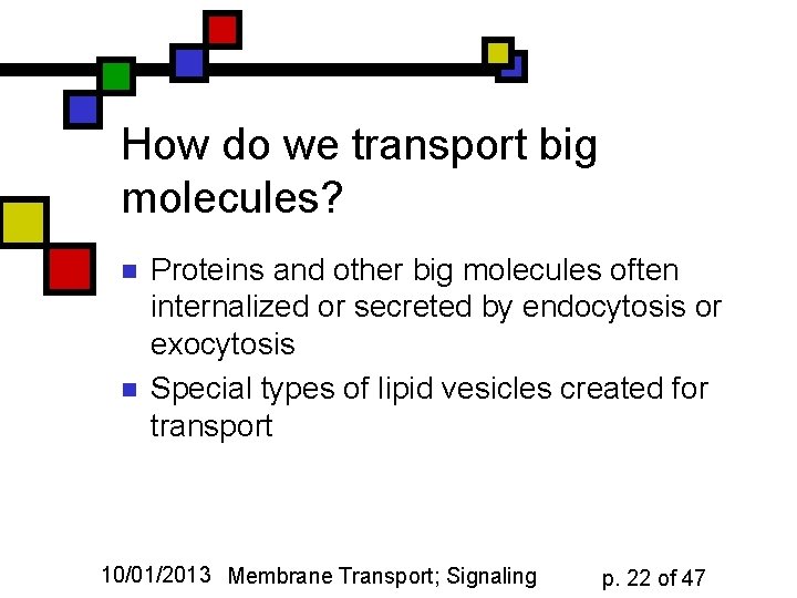 How do we transport big molecules? n n Proteins and other big molecules often