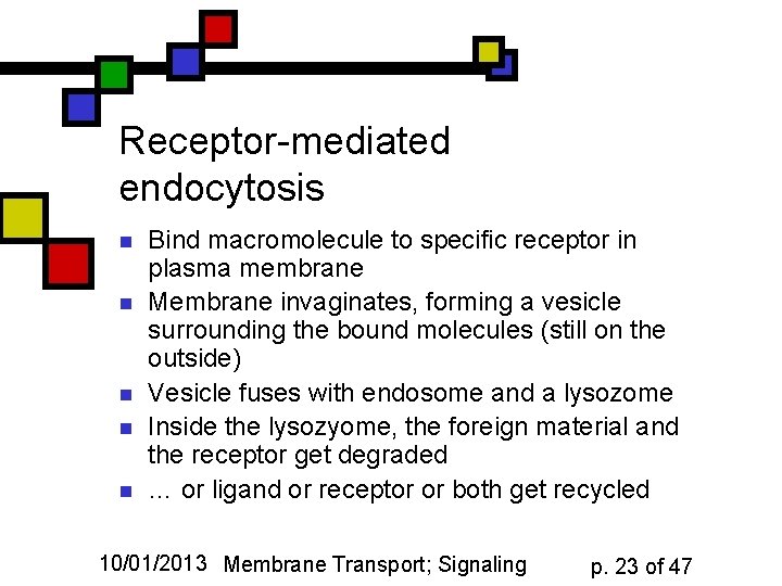 Receptor-mediated endocytosis n n n Bind macromolecule to specific receptor in plasma membrane Membrane