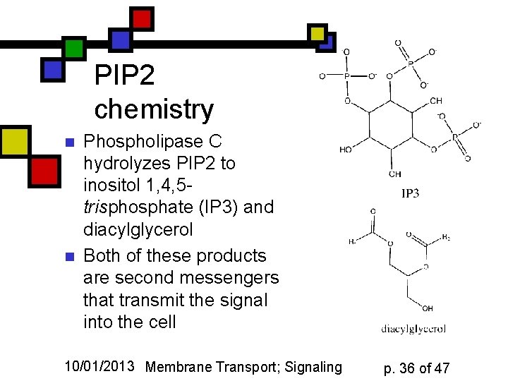 PIP 2 chemistry n n Phospholipase C hydrolyzes PIP 2 to inositol 1, 4,