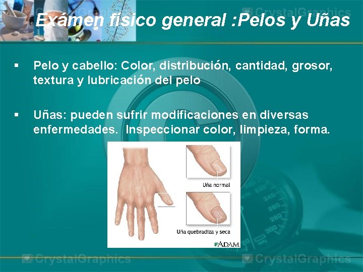 Exámen físico general : Pelos y Uñas § Pelo y cabello: Color, distribución, cantidad,