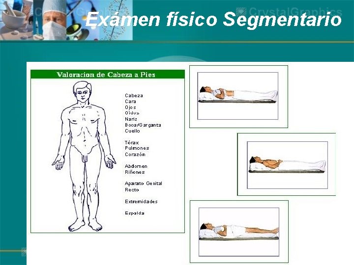 Exámen físico Segmentario 