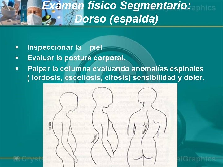 Exámen físico Segmentario: Dorso (espalda) § § § Inspeccionar la piel Evaluar la postura