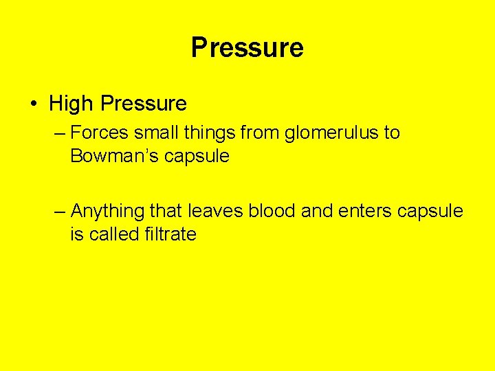 Pressure • High Pressure – Forces small things from glomerulus to Bowman’s capsule –