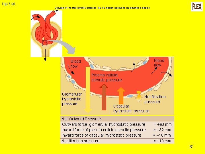 Fig 17. 10 Copyright © The Mc. Graw-Hill Companies, Inc. Permission required for reproduction