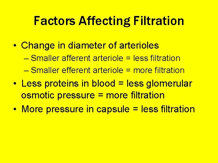 Factors Affecting Filtration • Change in diameter of arterioles – Smaller afferent arteriole =