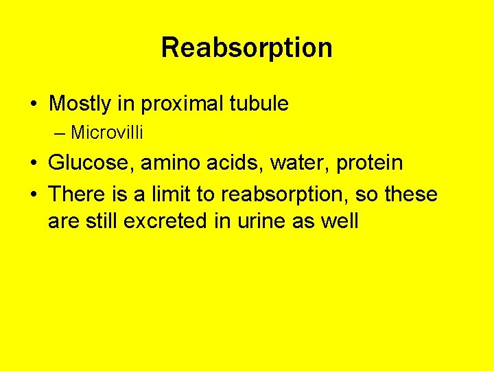 Reabsorption • Mostly in proximal tubule – Microvilli • Glucose, amino acids, water, protein