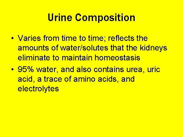 Urine Composition • Varies from time to time; reflects the amounts of water/solutes that