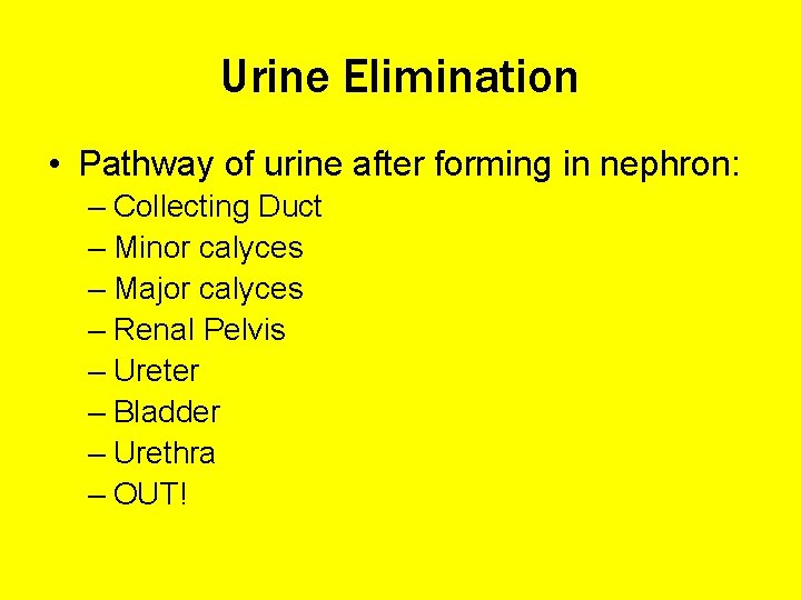 Urine Elimination • Pathway of urine after forming in nephron: – Collecting Duct –