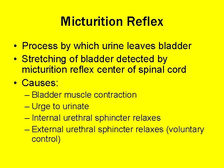 Micturition Reflex • Process by which urine leaves bladder • Stretching of bladder detected