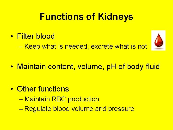 Functions of Kidneys • Filter blood – Keep what is needed; excrete what is