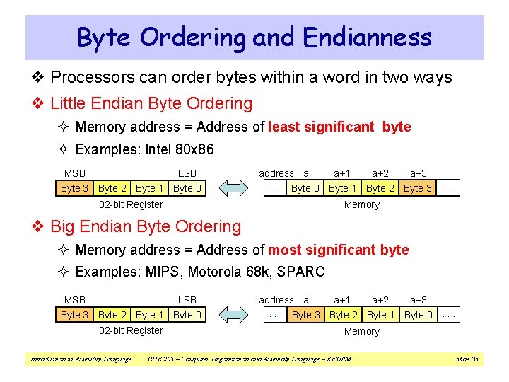Byte Ordering and Endianness v Processors can order bytes within a word in two