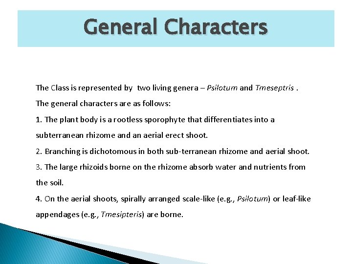 General Characters The Class is represented by two living genera – Psilotum and Tmeseptris.