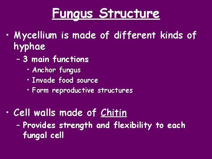 Fungus Structure • Mycellium is made of different kinds of hyphae – 3 main