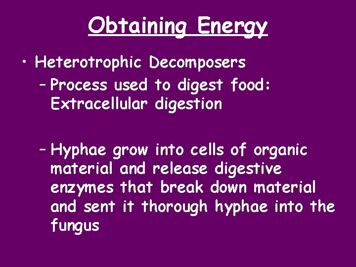 Obtaining Energy • Heterotrophic Decomposers – Process used to digest food: Extracellular digestion –