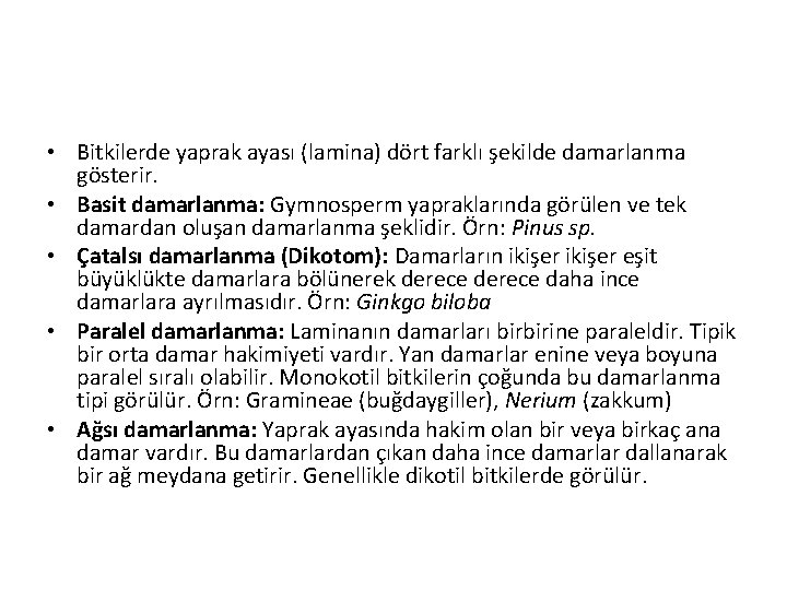  • Bitkilerde yaprak ayası (lamina) dört farklı şekilde damarlanma gösterir. • Basit damarlanma: