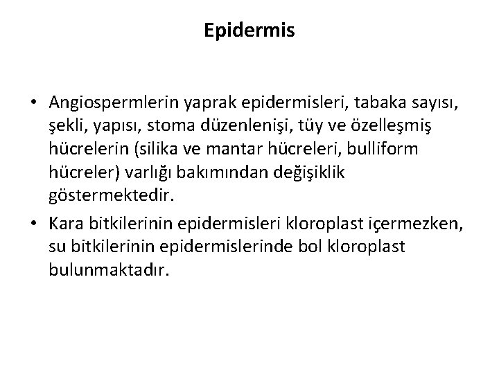Epidermis • Angiospermlerin yaprak epidermisleri, tabaka sayısı, şekli, yapısı, stoma düzenlenişi, tüy ve özelleşmiş