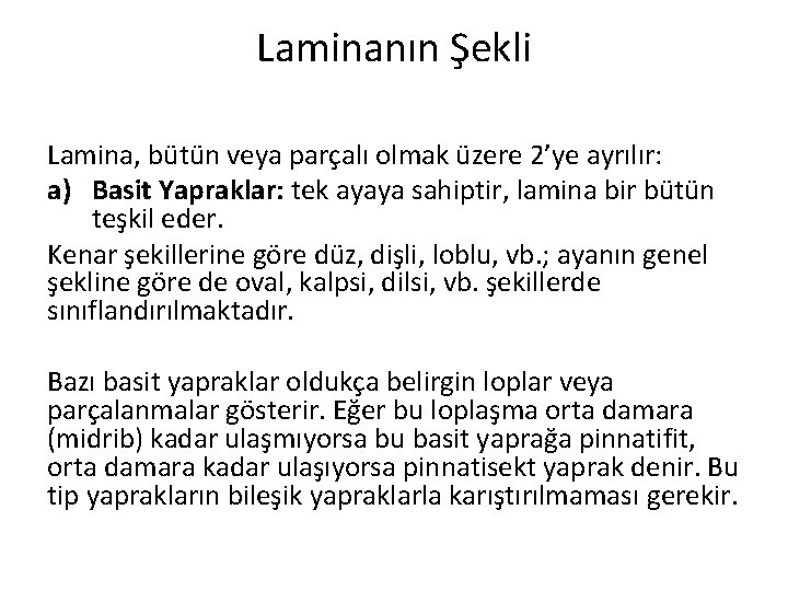 Laminanın Şekli Lamina, bütün veya parçalı olmak üzere 2’ye ayrılır: a) Basit Yapraklar: tek