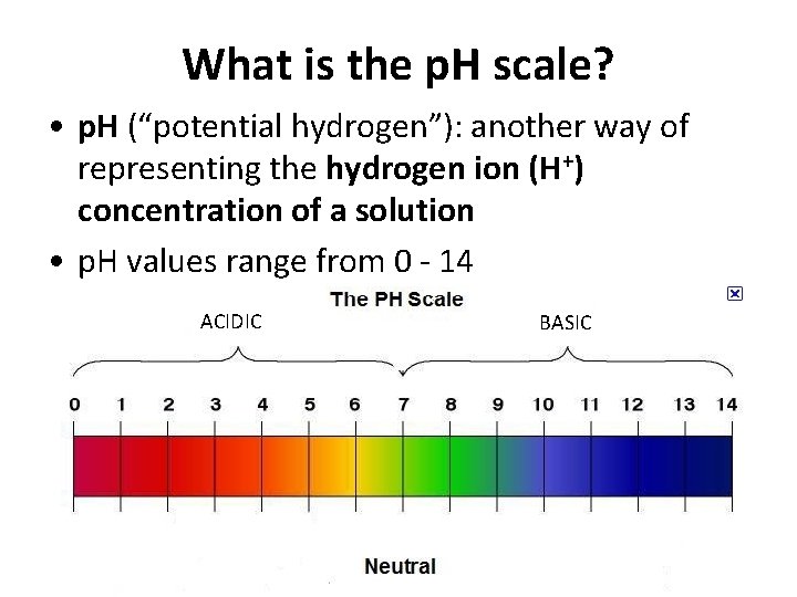 What is the p. H scale? • p. H (“potential hydrogen”): another way of
