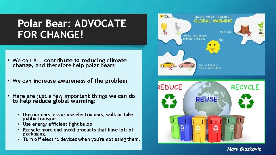 Polar Bear: ADVOCATE FOR CHANGE! • We can ALL contribute to reducing climate change,