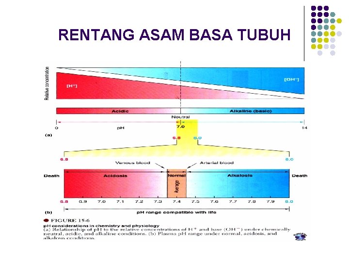 RENTANG ASAM BASA TUBUH 