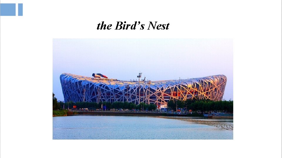 the Bird’s Nest 