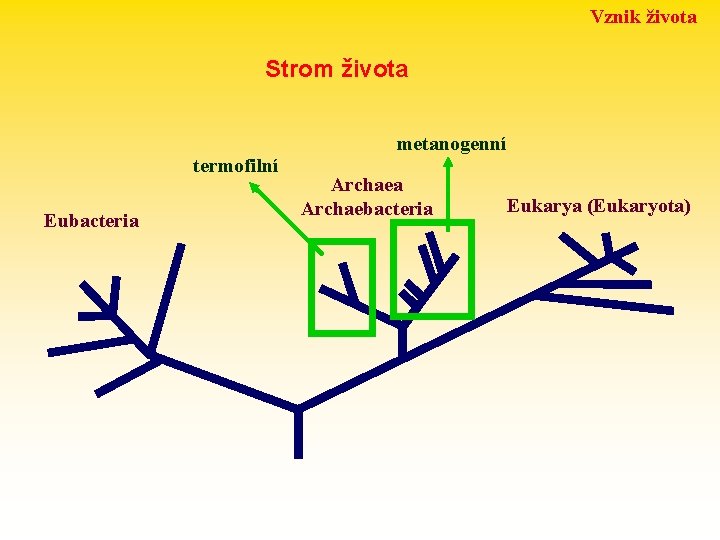 Vznik života Strom života termofilní Eubacteria metanogenní Archaea Archaebacteria Eukarya (Eukaryota) 
