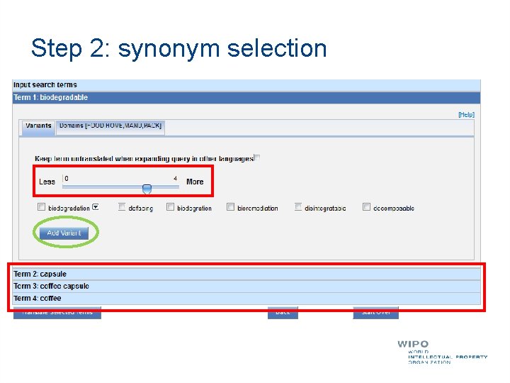 Step 2: synonym selection 