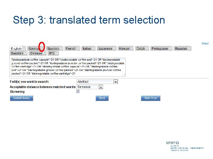 Step 3: translated term selection 