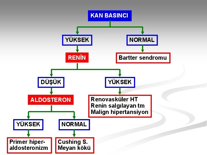 KAN BASINCI YÜKSEK NORMAL RENİN Bartter sendromu DÜŞÜK YÜKSEK ALDOSTERON Renovasküler HT Renin salgılayan