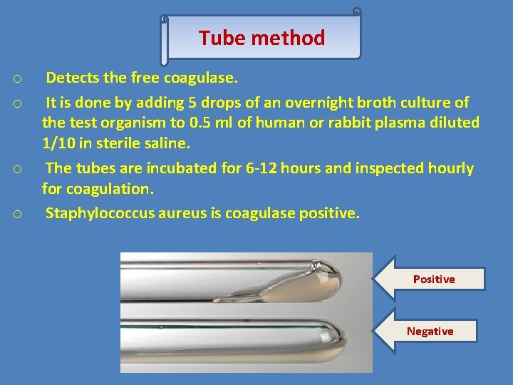 Tube method o o Detects the free coagulase. It is done by adding 5