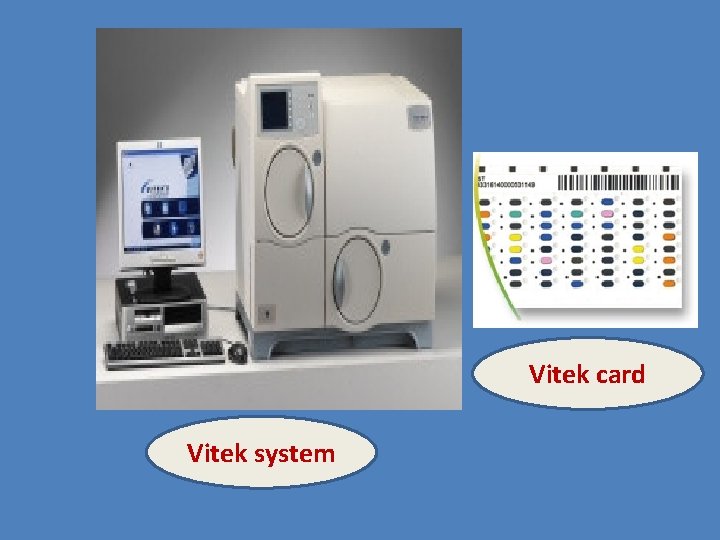 Vitek card Vitek system 