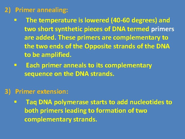 2) Primer annealing: § The temperature is lowered (40 -60 degrees) and two short