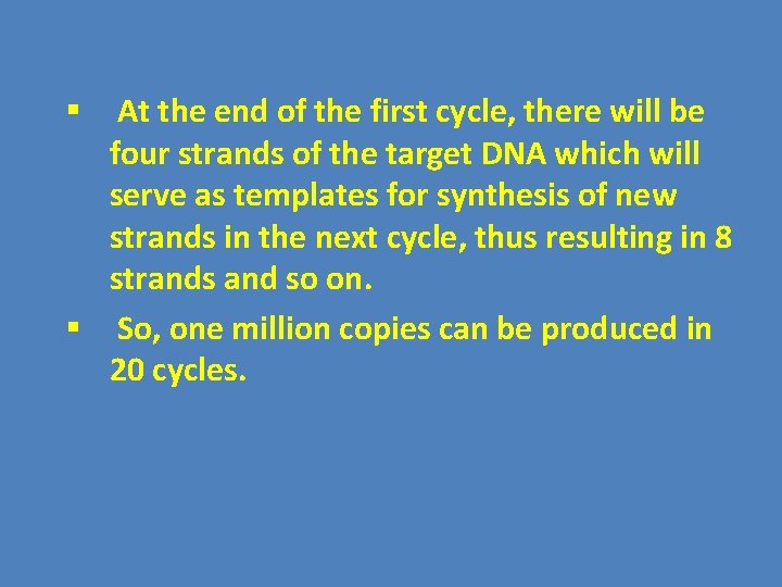 At the end of the first cycle, there will be four strands of the