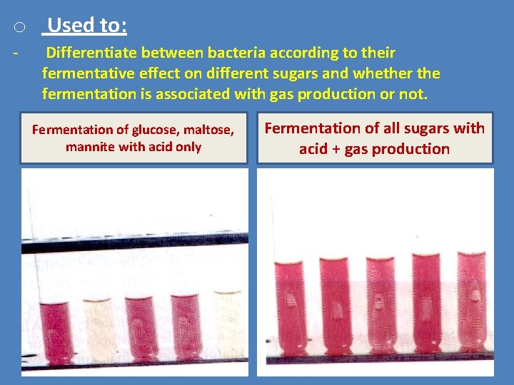 o Used to: - Differentiate between bacteria according to their fermentative effect on different