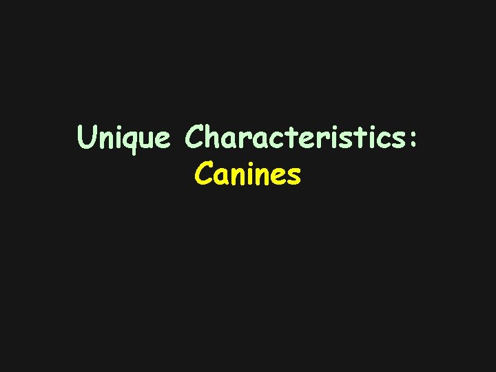 Unique Characteristics: Canines 