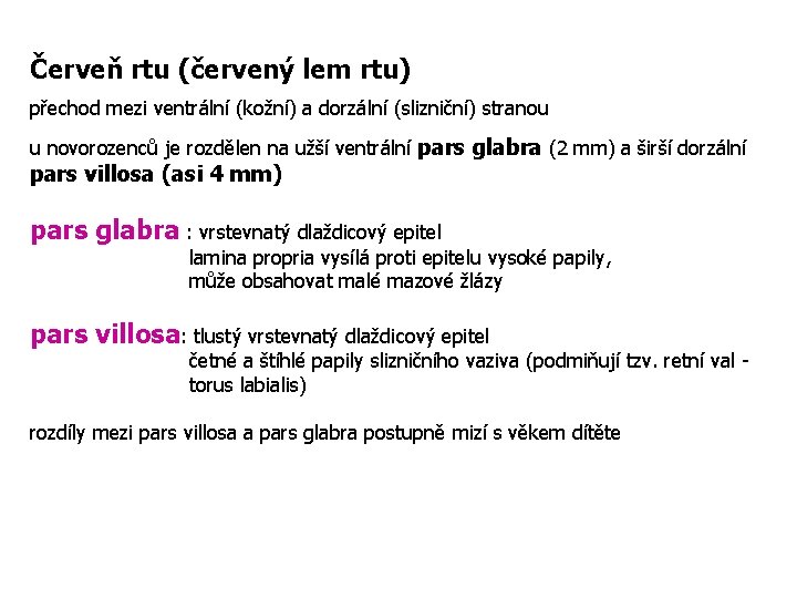 Červeň rtu (červený lem rtu) přechod mezi ventrální (kožní) a dorzální (slizniční) stranou u