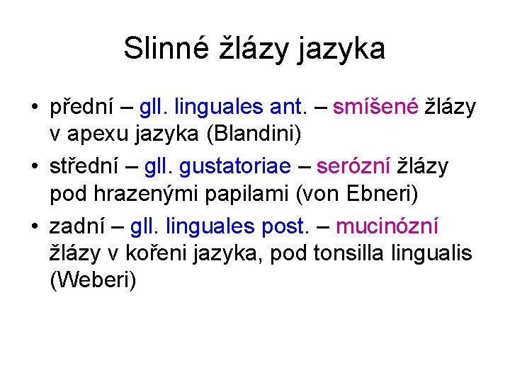 Slinné žlázy jazyka • přední – gll. linguales ant. – smíšené žlázy v apexu