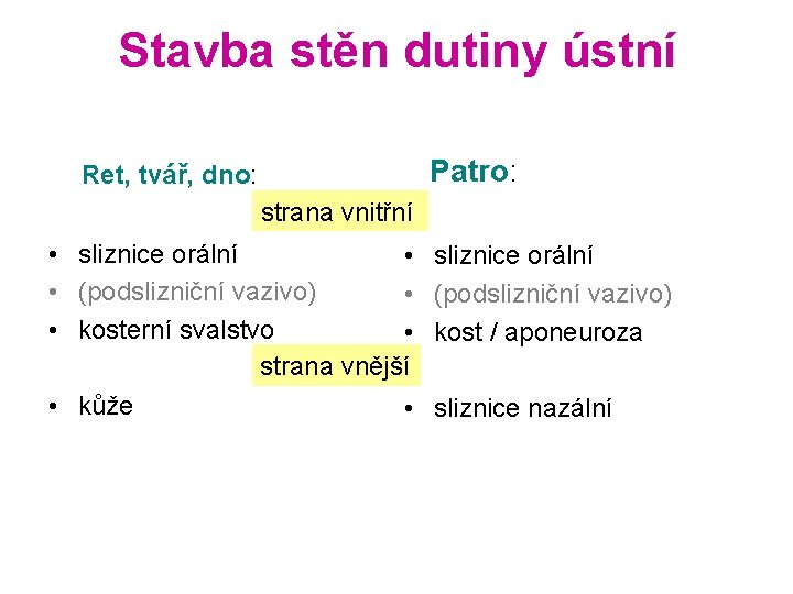 Stavba stěn dutiny ústní Patro: Ret, tvář, dno: strana vnitřní • sliznice orální •