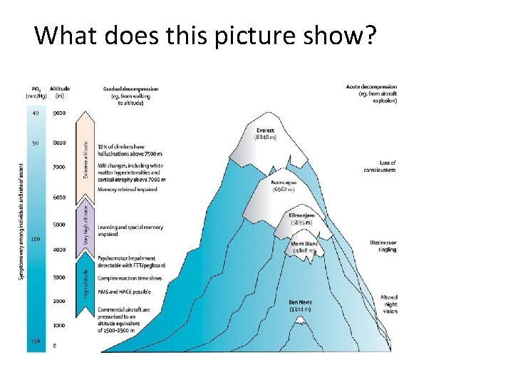 What does this picture show? 