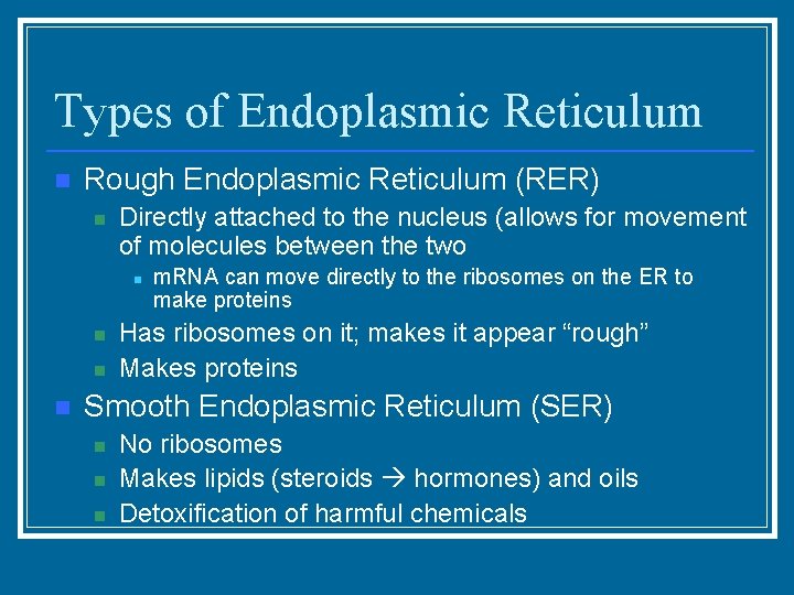 Types of Endoplasmic Reticulum n Rough Endoplasmic Reticulum (RER) n Directly attached to the