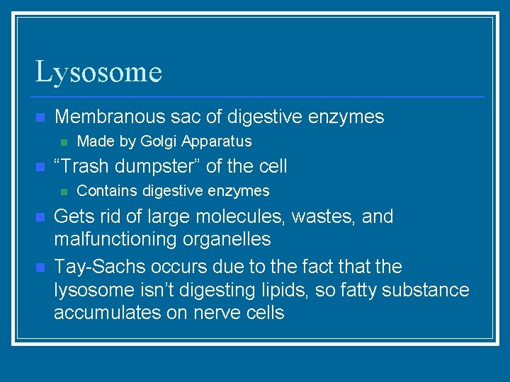 Lysosome n Membranous sac of digestive enzymes n n “Trash dumpster” of the cell