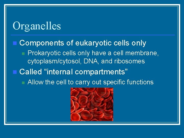 Organelles n Components of eukaryotic cells only n n Prokaryotic cells only have a