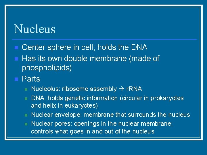 Nucleus n n n Center sphere in cell; holds the DNA Has its own