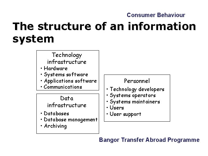 Consumer Behaviour The structure of an information system Technology infrastructure • Hardware • Systems
