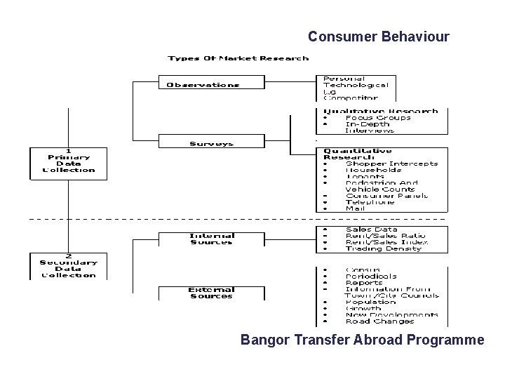 Consumer Behaviour Bangor Transfer Abroad Programme 